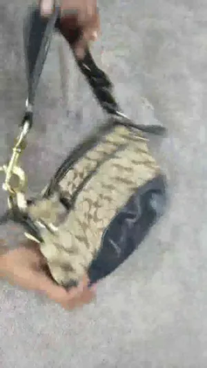 HE156 Aesthetic Y2K Coach  - 10 Pcs