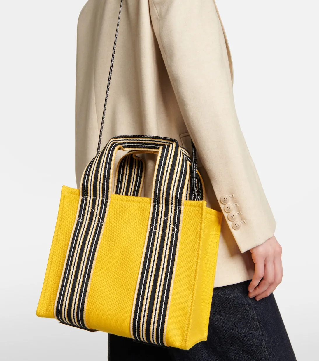 Loro Piana Mini Suitcase Striped Canvas Tote Bag, Multicolor
