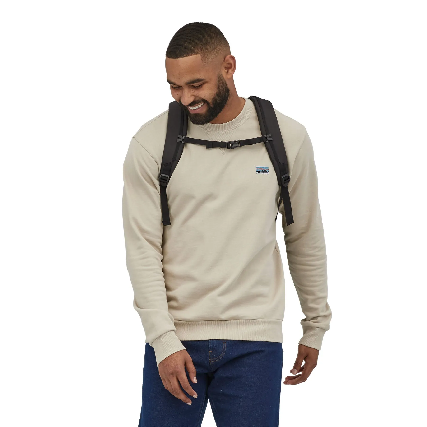 Patagonia Refugio Day Pack 26L